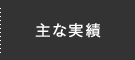 主な実績