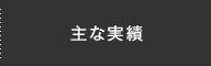 主な実績